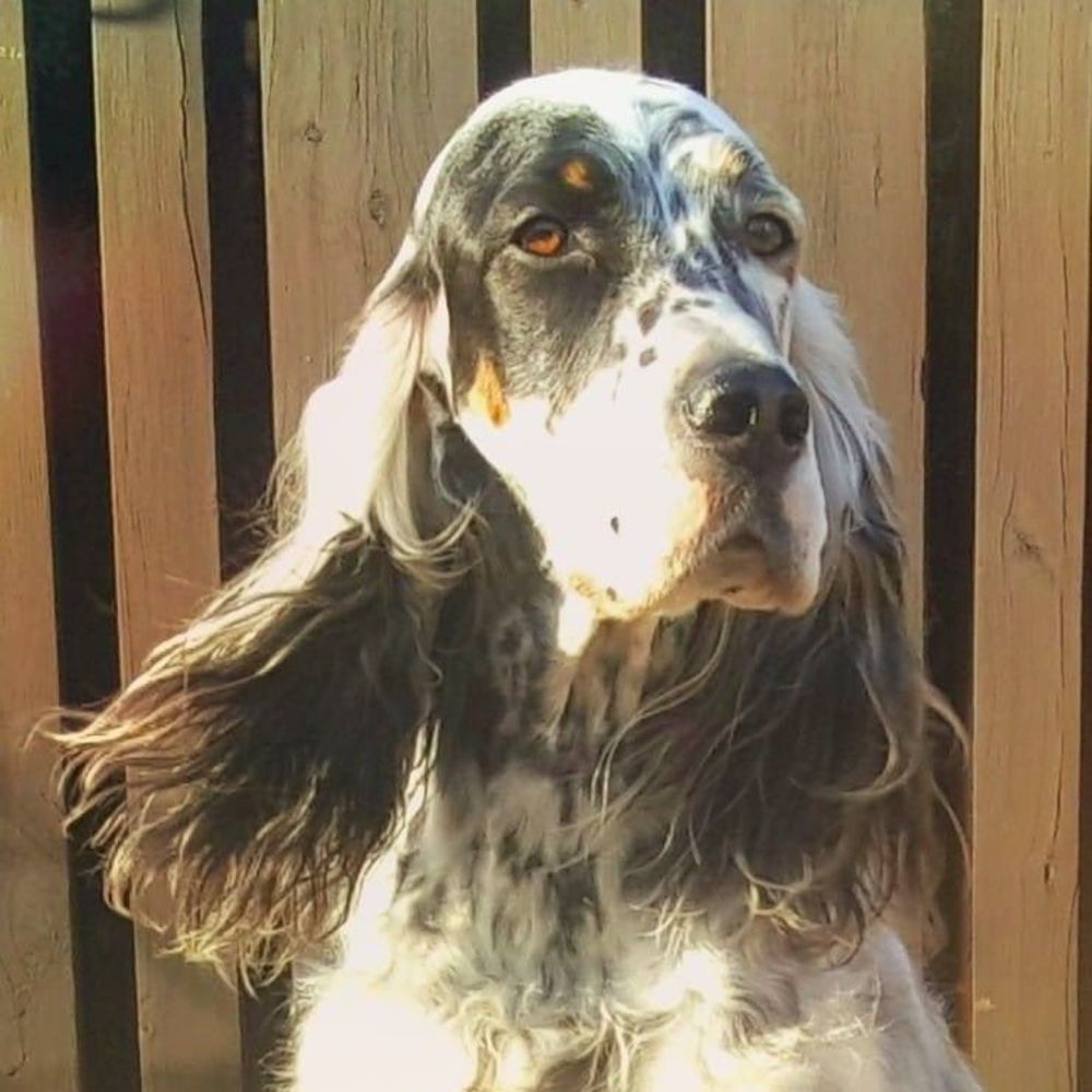 Meet your Posher, Mia
